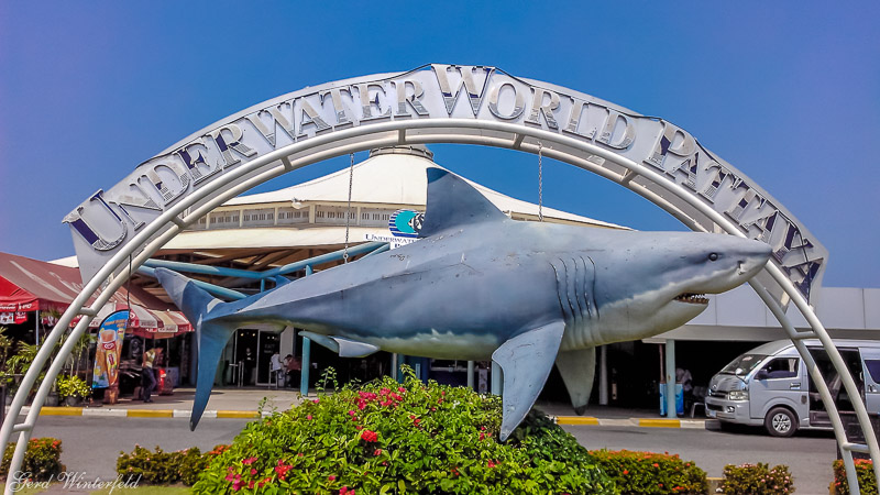 Pattaya Underwater World | Aquarium | Ausflüge